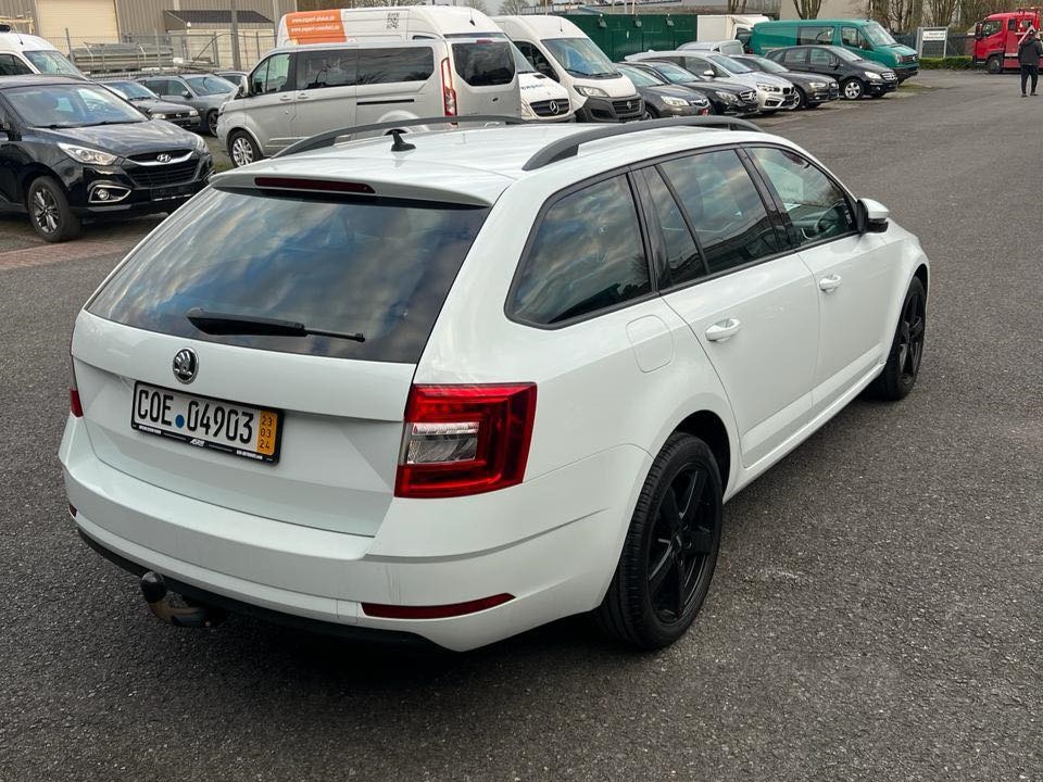 rent a car budva skoda