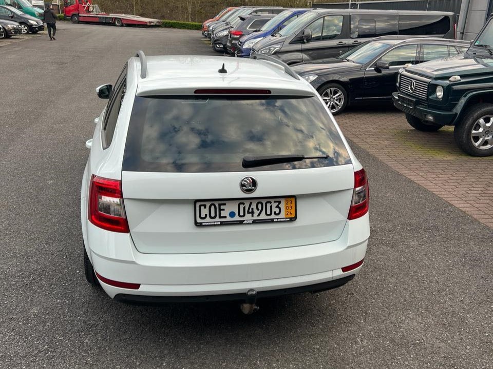 rent a car budva skoda